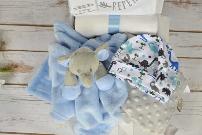 Elephant comforter baby boy gift box