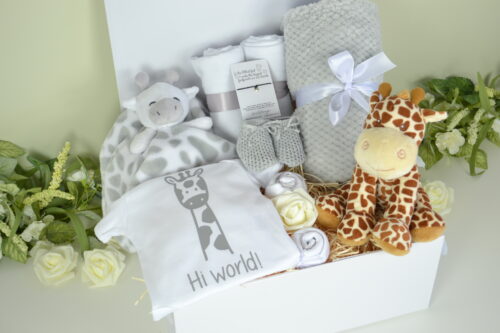 Luxury Giraffe Themed Baby Gift Box